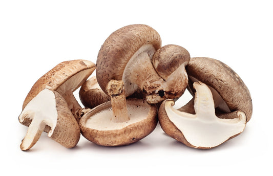 Lentinula Edodes (Shiitake Mushroom): Benefits and Warnings