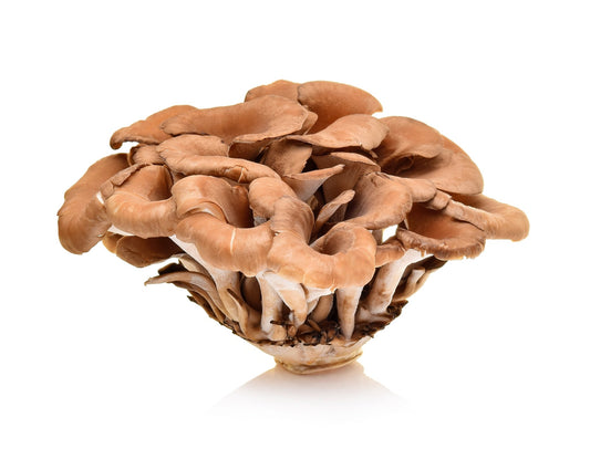 Maitake Mushrooms (Grifola frondosa): Benefits and Warnings