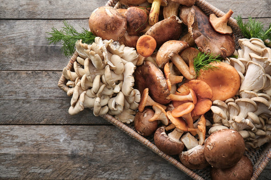 Activate Your Immune Cells with These Popular Mushrooms