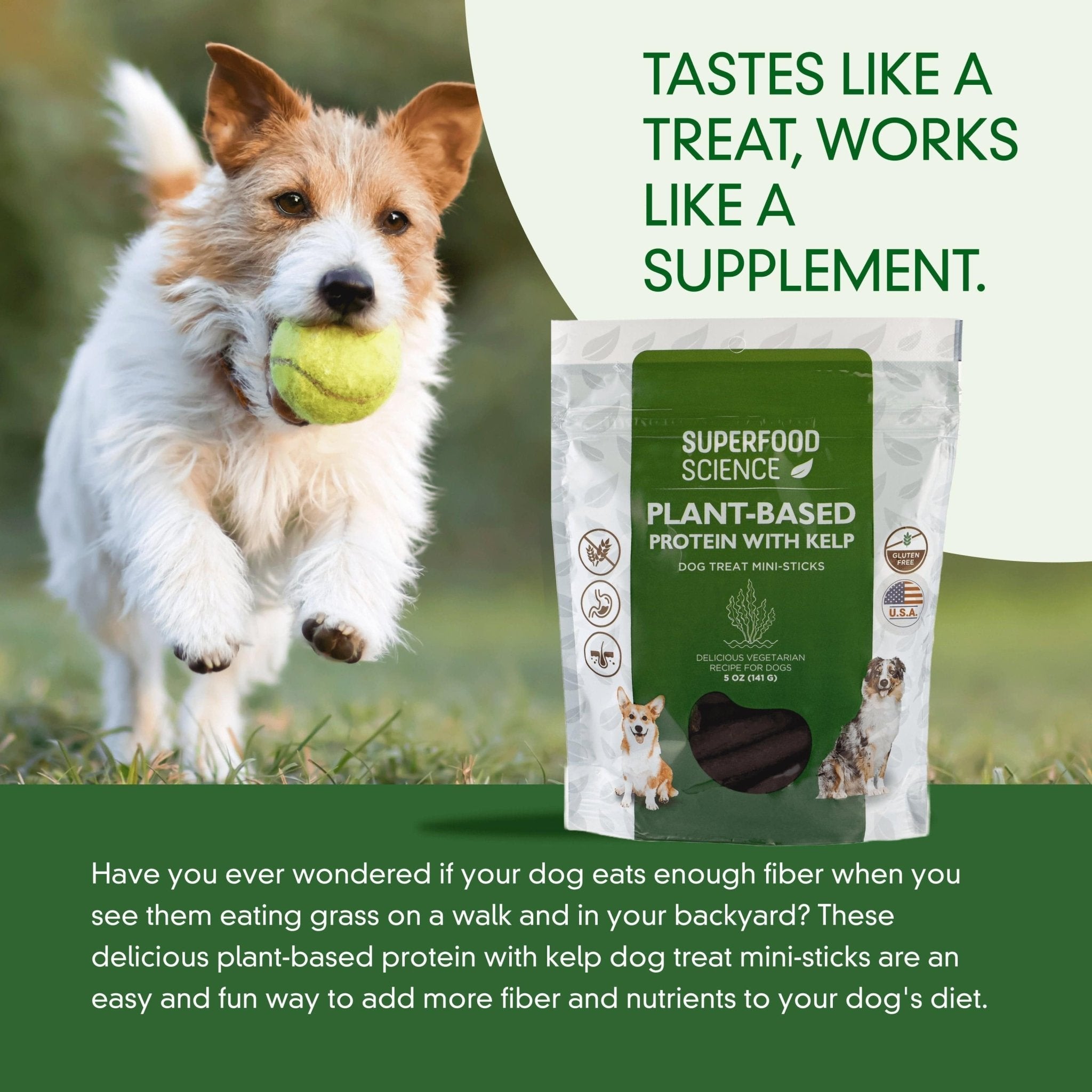 Plant protein for dogs best sale